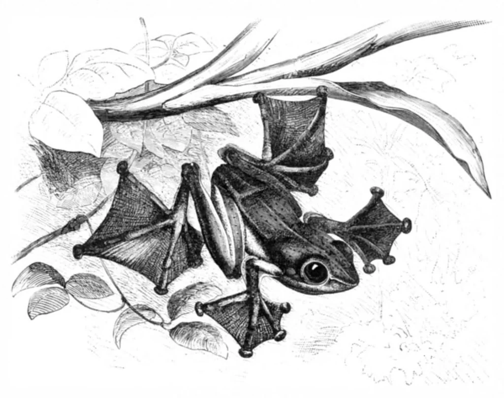 An illustration from Scientific American, Vol. 40, No. 16 (April 1879), 1879, leaf 8