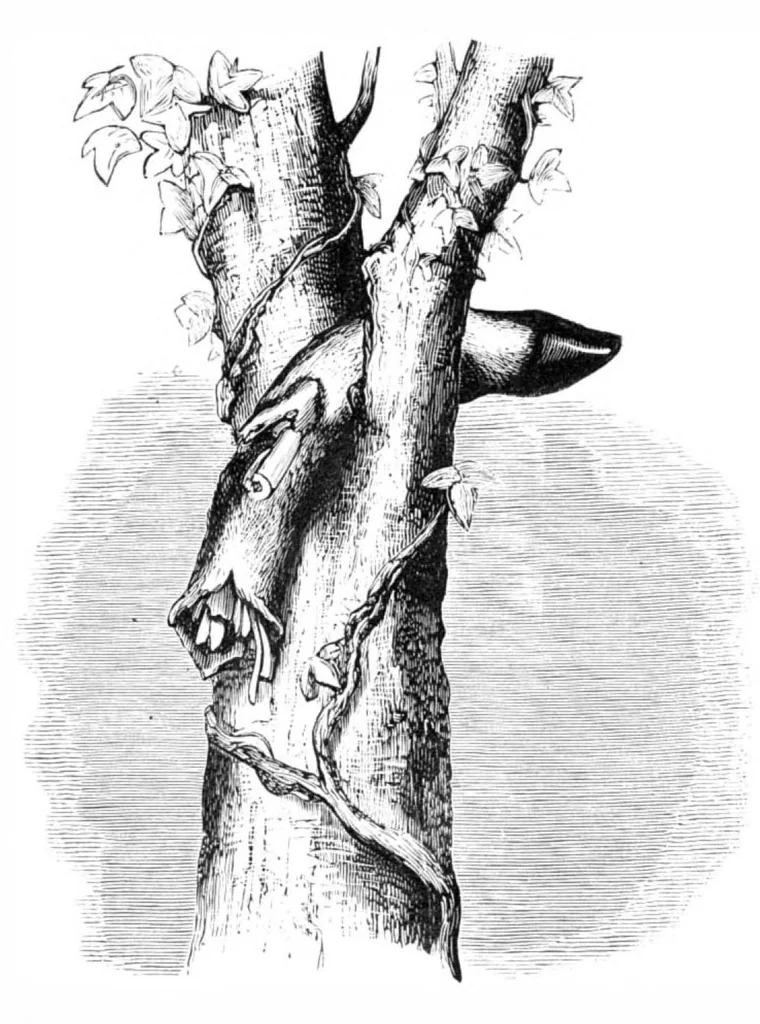 An illustration from Scientific American, Vol. 40, No. 18 (May 1879), 1879, leaf 8