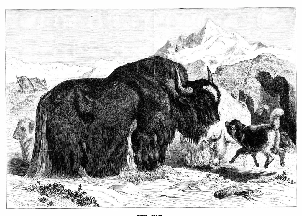 An illustration from Scientific American, Vol. 40, No. 19 (May 1879), 1879, leaf 8