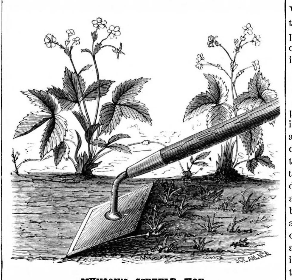 An illustration from Scientific American, Vol. 40, No. 25 (June 1879), 1879, leaf 4