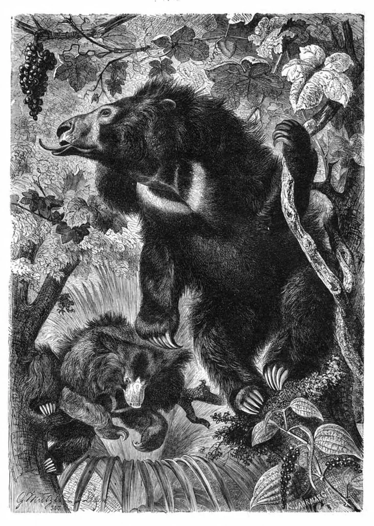 An illustration from Scientific American, Vol. 41, No. 4 (July 1879), 1879, leaf 8