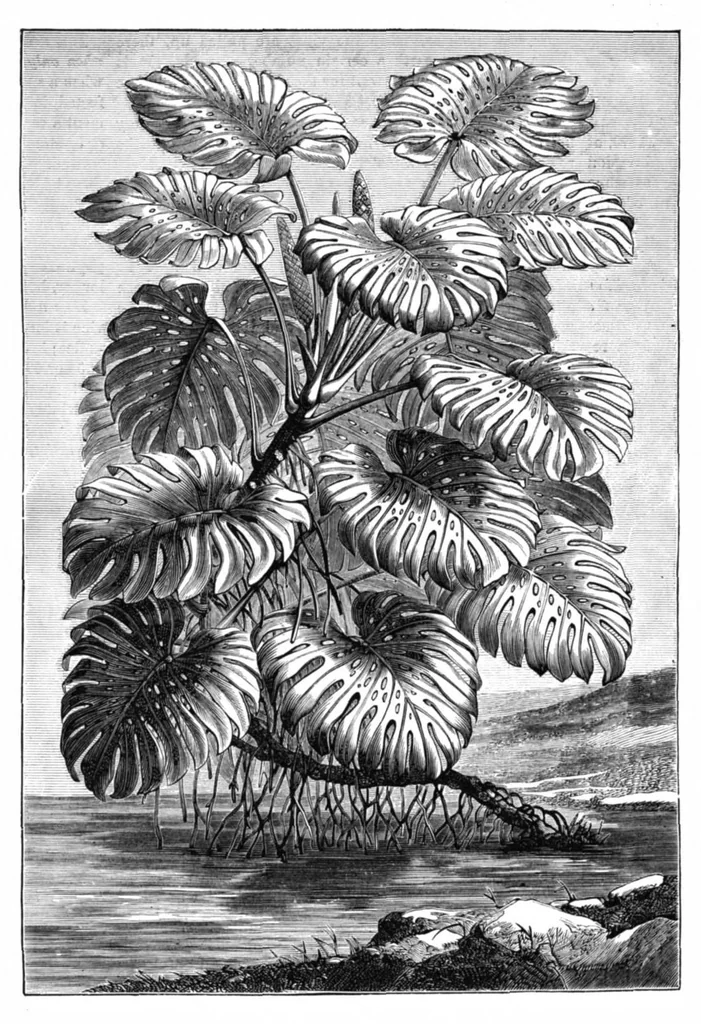 An illustration from Scientific American, Vol. 41, No. 5 (August 1879), 1879, leaf 8
