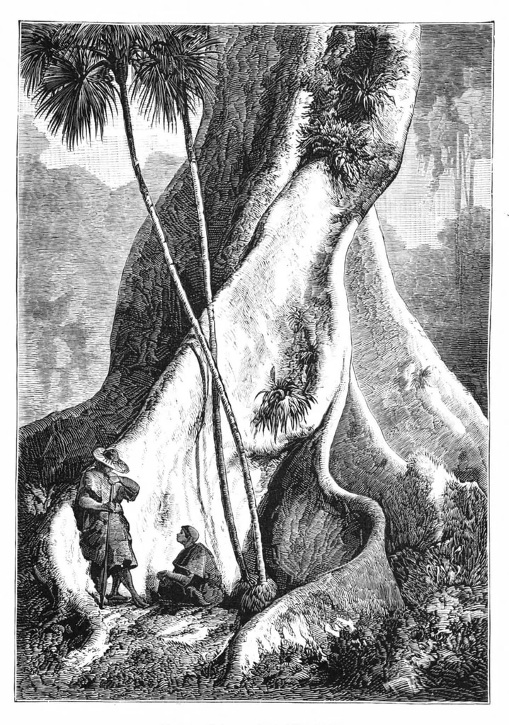 An illustration from Scientific American, Vol. 41, No. 9 (August 1879), 1879, leaf 8