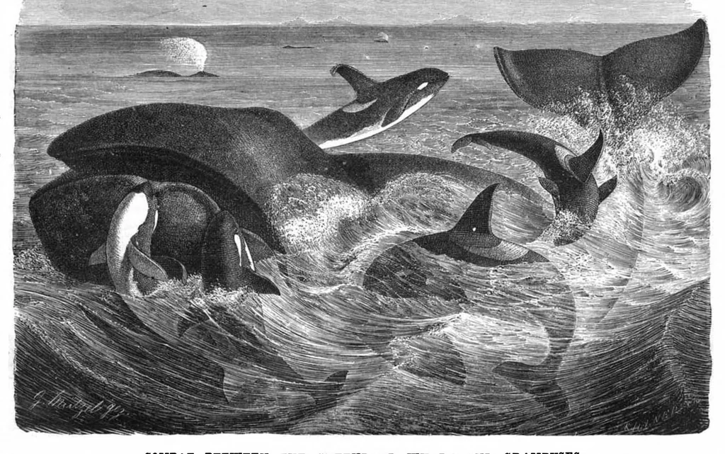 An illustration from Scientific American, Vol. 41, No. 11 (September 1879), 1879, leaf 8
