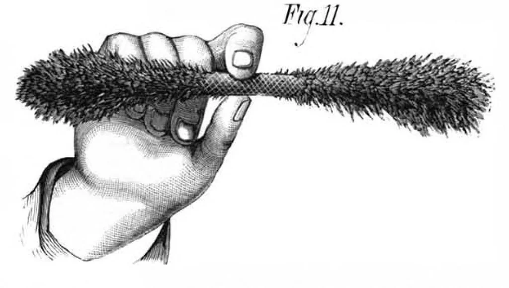 An illustration from Scientific American, Vol. 41, No. 13 (September 1879), 1879, leaf 5