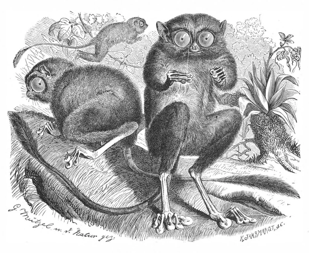 An illustration from Scientific American, Vol. 41, No. 16 (October 1879), 1879, leaf 8