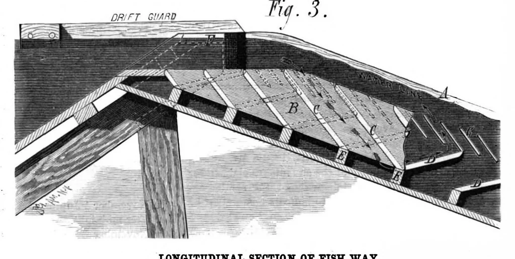 An illustration from Scientific American, Vol. 41, No. 18 (November 1879), 1879, leaf 4