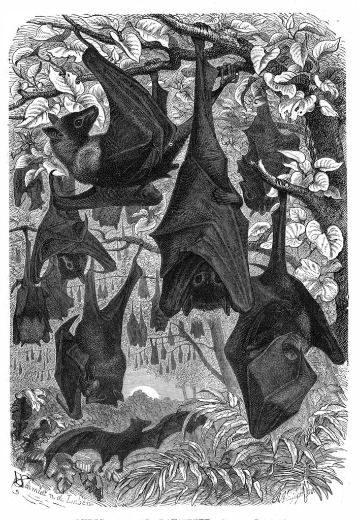 An illustration from Scientific American, Vol. 41, No. 19 (November 1879), 1879, leaf 8
