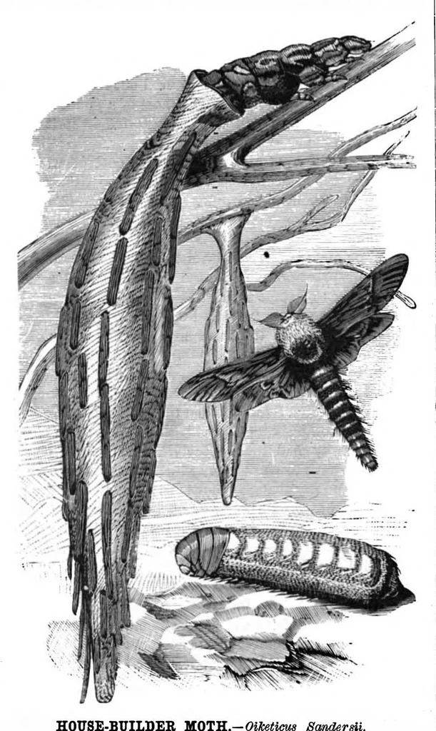 An illustration from Scientific American, Vol. 41, No. 22 (November 1879), 1879, leaf 8