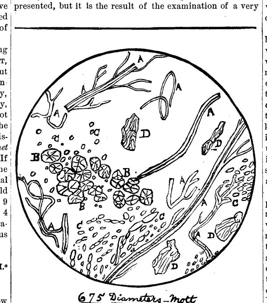 An illustration from Scientific American, Vol. 41, No. 25 (December 1879), 1879, leaf 6