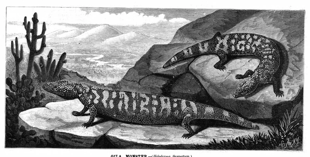 An illustration from Scientific American, Vol. 41, No. 25 (December 1879), 1879, leaf 8