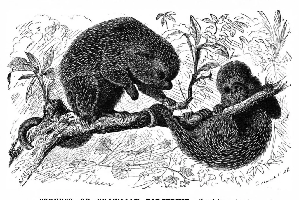 An illustration from Scientific American, Vol. 42, No. 1 (January 1880), 1880, leaf 9
