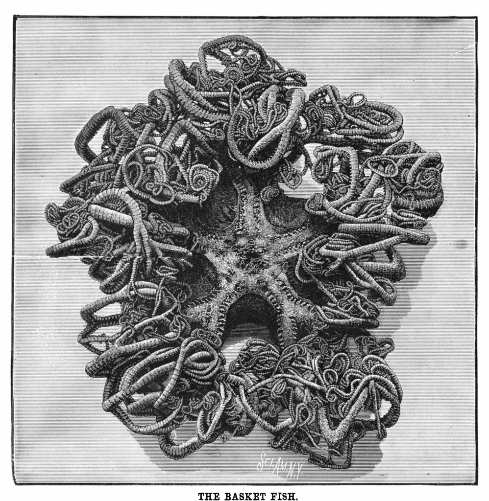 An illustration from Scientific American, Vol. 42, No. 2 (January 1880), 1880, leaf 8