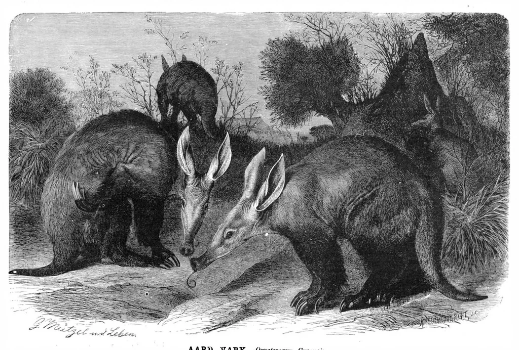 An illustration from Scientific American, Vol. 42, No. 3 (January 1880), 1880, leaf 8