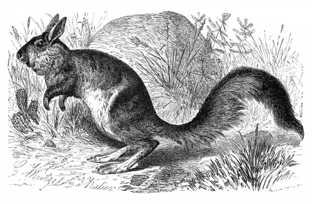 An illustration from Scientific American, Vol. 42, No. 4 (January 1880), 1880, leaf 8