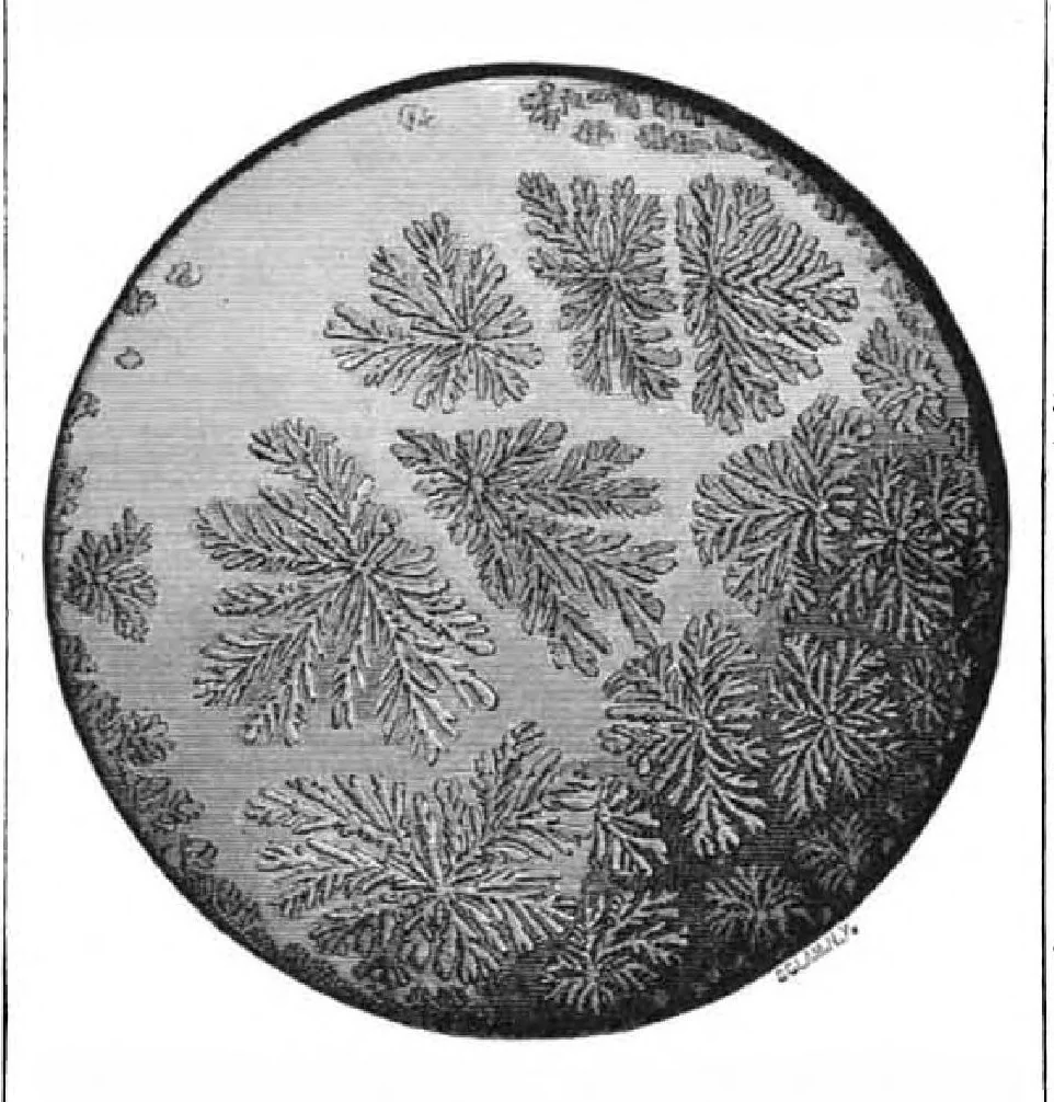 An illustration from Scientific American, Vol. 42, No. 5 (January 1880), 1880, leaf 6