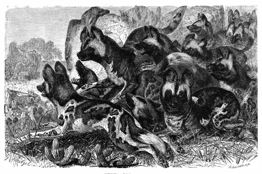 An illustration from Scientific American, Vol. 42, No. 5 (January 1880), 1880, leaf 8