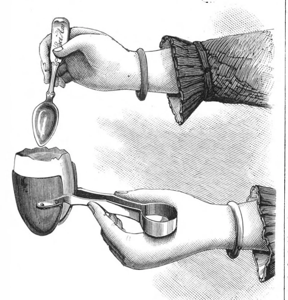 An illustration from Scientific American, Vol. 42, No. 6 (February 1880), 1880, leaf 4