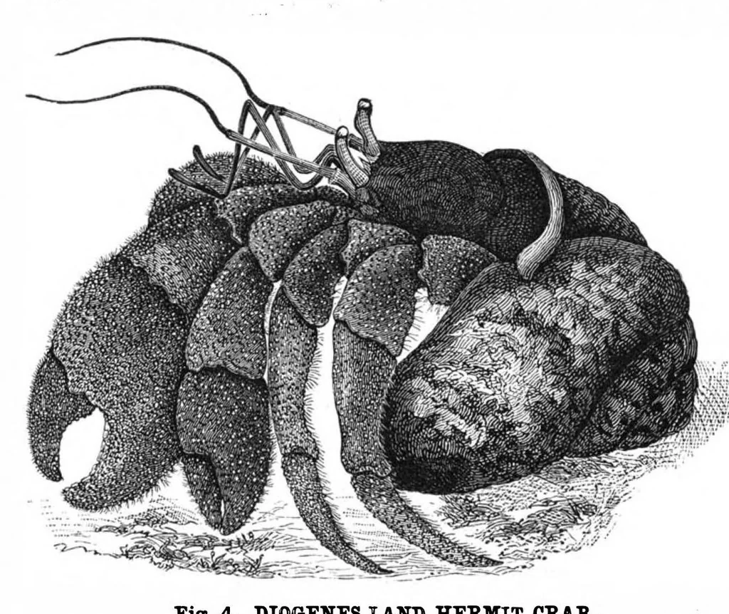An illustration from Scientific American, Vol. 42, No. 8 (February 1880), 1880, leaf 8