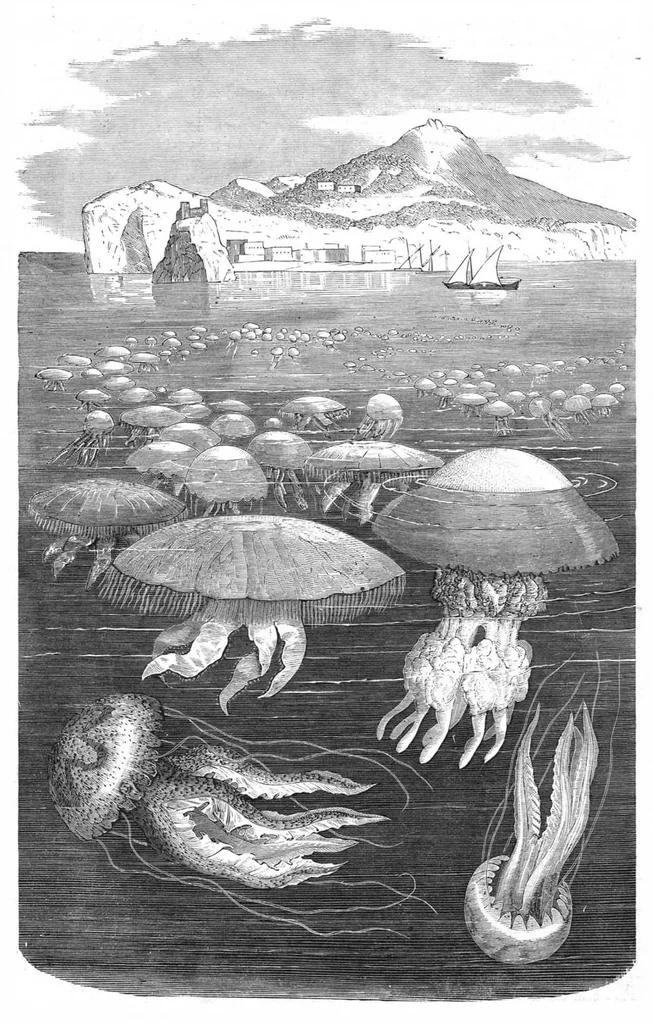 An illustration from Scientific American, Vol. 42, No. 12 (March 1880), 1880, leaf 8