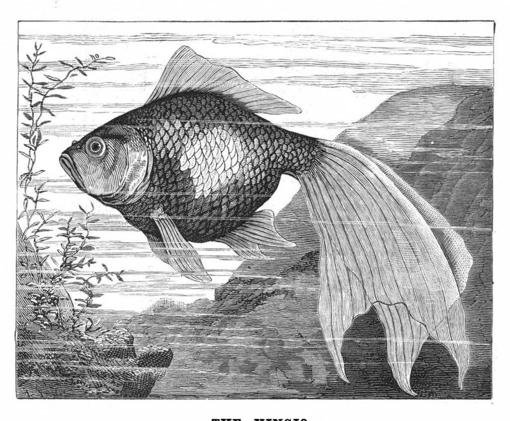 An illustration from Scientific American, Vol. 42, No. 13 (March 1880), 1880, leaf 8