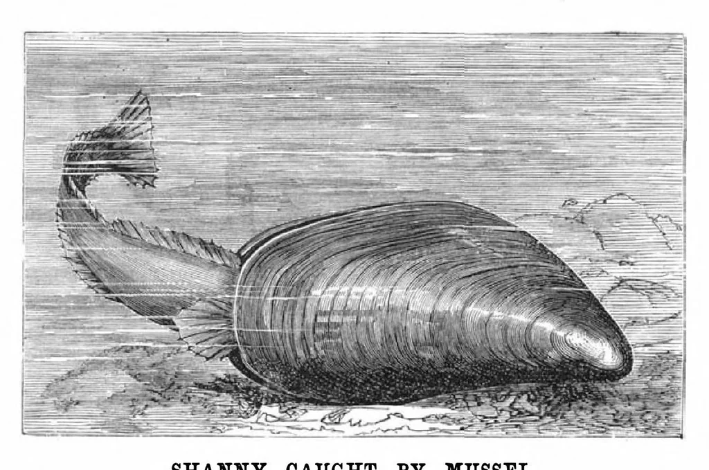 An illustration from Scientific American, Vol. 42, No. 15 (April 1880), 1880, leaf 10