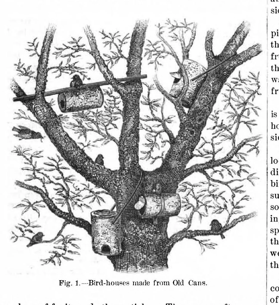 An illustration from Scientific American, Vol. 42, No. 15 (April 1880), 1880, leaf 3