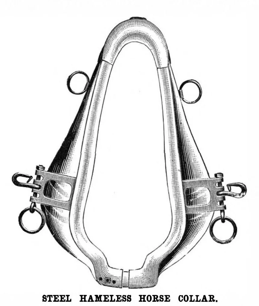 An illustration from Scientific American, Vol. 42, No. 16 (April 1880), 1880, leaf 4