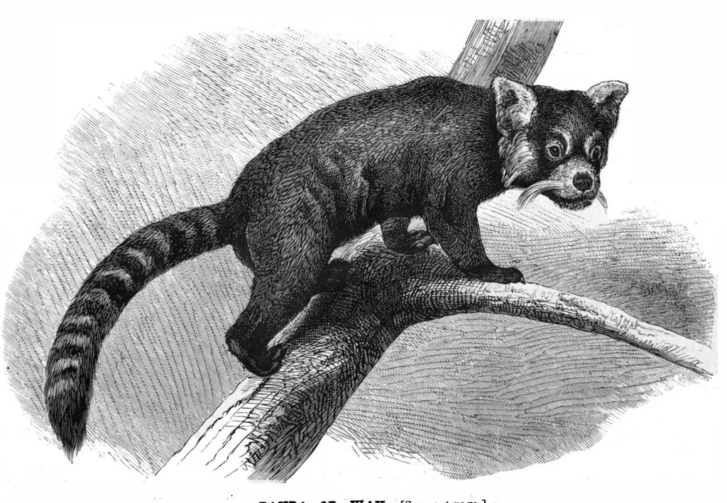 An illustration from Scientific American, Vol. 42, No. 18 (May 1880), 1880, leaf 8