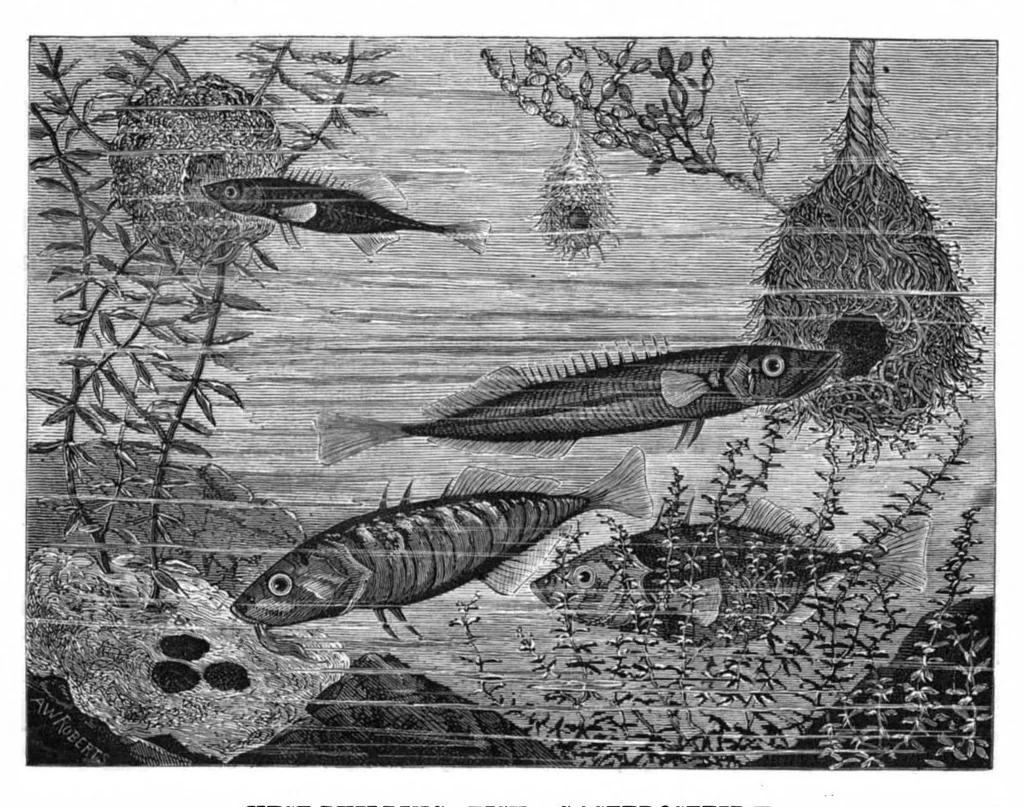An illustration from Scientific American, Vol. 42, No. 18 (May 1880), 1880, leaf 8