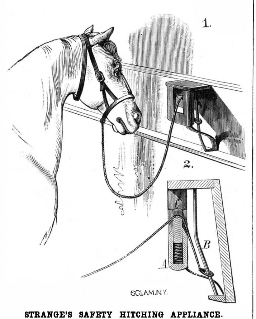 An illustration from Scientific American, Vol. 42, No. 25 (June 1880), 1880, leaf 4