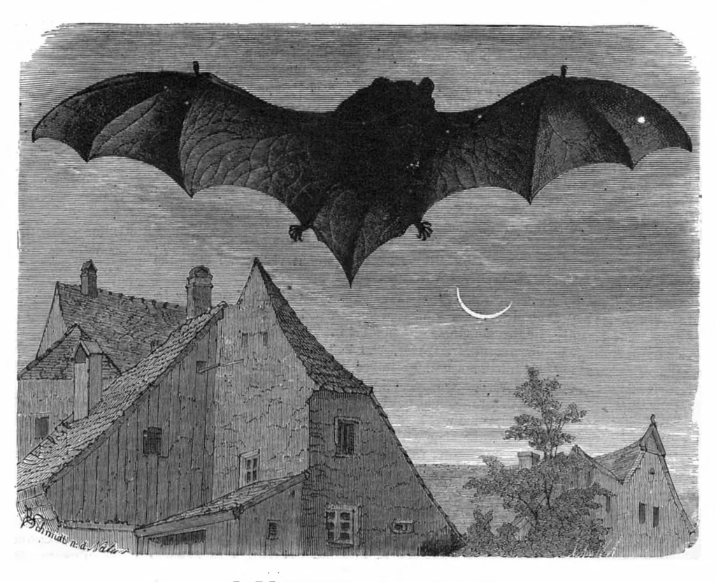 An illustration from Scientific American, Vol. 42, No. 25 (June 1880), 1880, leaf 8