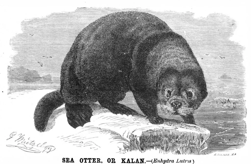 An illustration from Scientific American, Vol. 43, No. 2 (July 1880), 1880, leaf 8