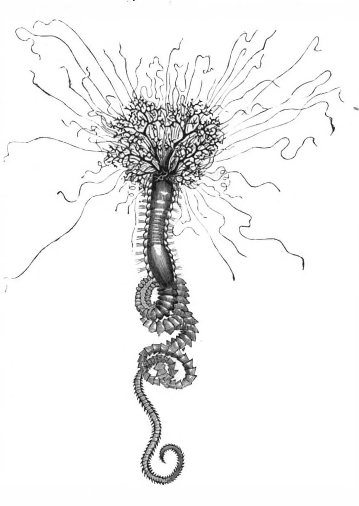 An illustration from Scientific American, Vol. 43, No. 3 (July 1880), 1880, leaf 8