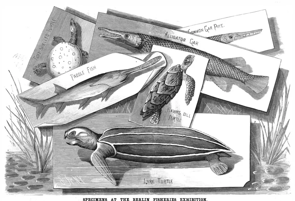 An illustration from Scientific American, Vol. 43, No. 8 (August 1880), 1880, leaf 8