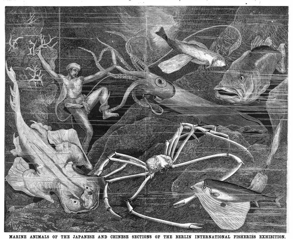 An illustration from Scientific American, Vol. 43, No. 11 (September 1880), 1880, leaf 8