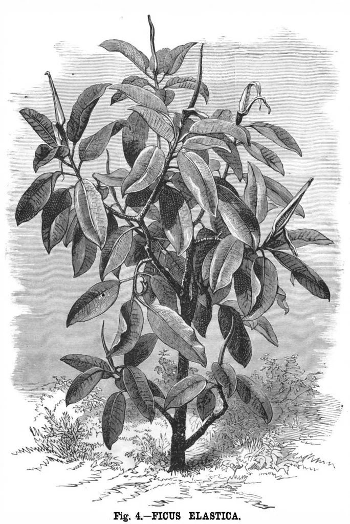 An illustration from Scientific American, Vol. 43, No. 12 (September 1880), 1880, leaf 9
