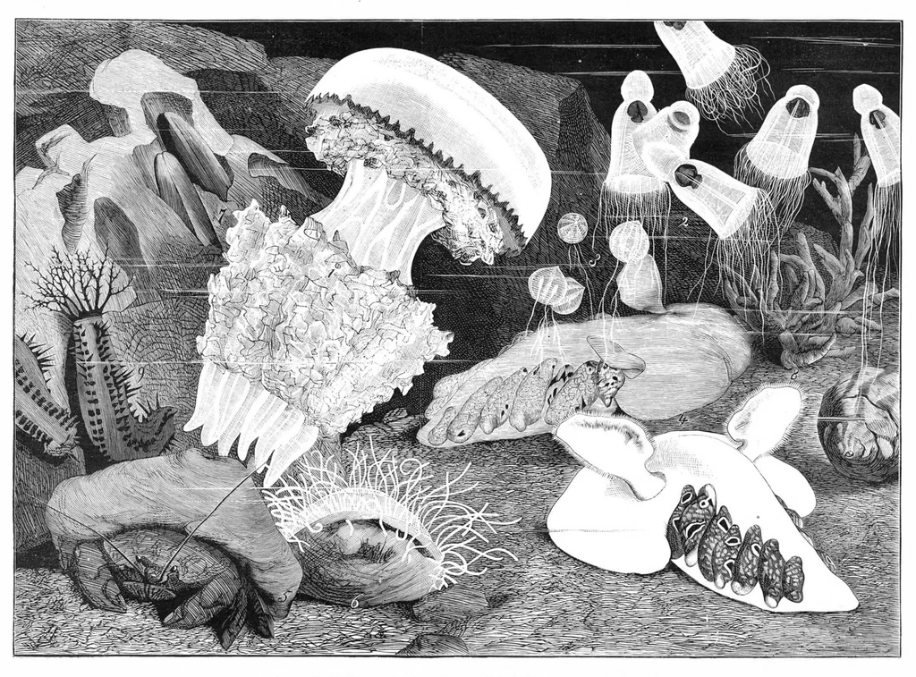 An illustration from Scientific American, Vol. 43, No. 15 (October 1880), 1880, leaf 8