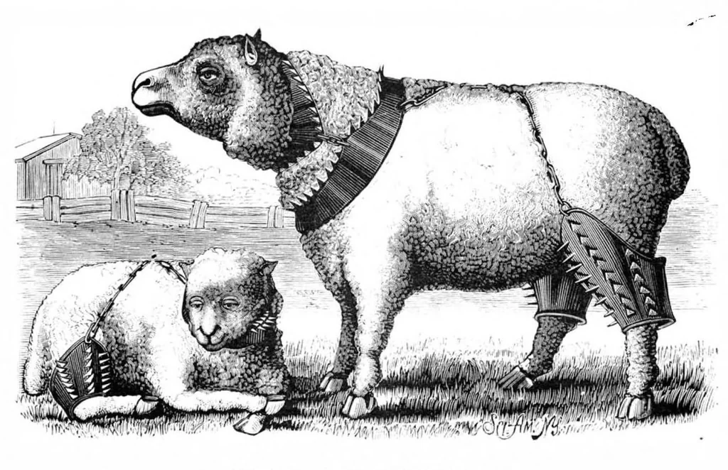 An illustration from Scientific American, Vol. 43, No. 16 (October 1880), 1880, leaf 4