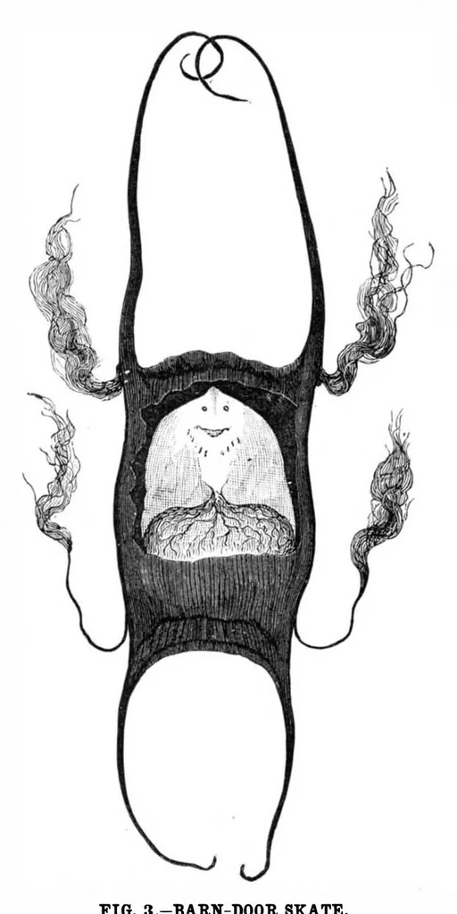 An illustration from Scientific American, Vol. 43, No. 17 (October 1880), 1880, leaf 9