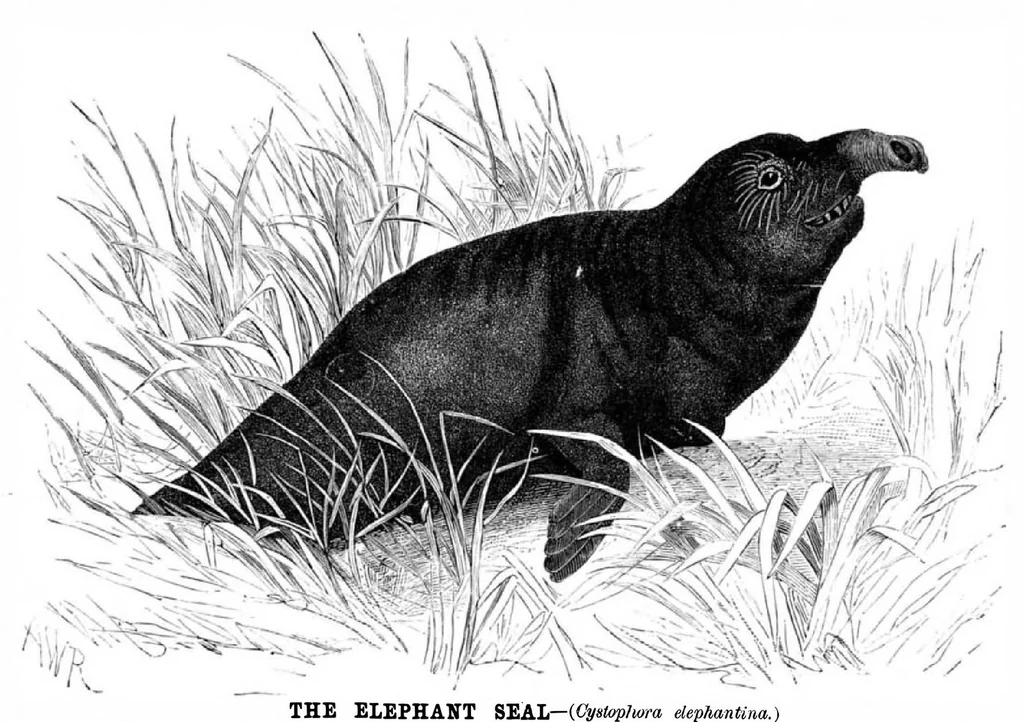 An illustration from Scientific American, Vol. 43, No. 19 (November 1880), 1880, leaf 8