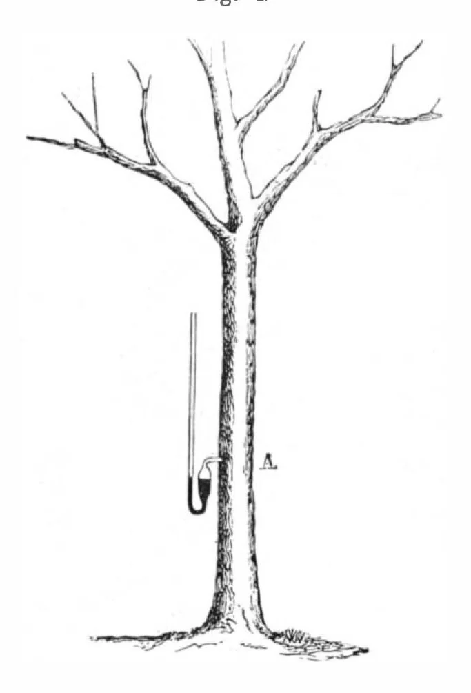 An illustration from Scientific American, Vol. 43, No. 20 (November 1880), 1880, leaf 9