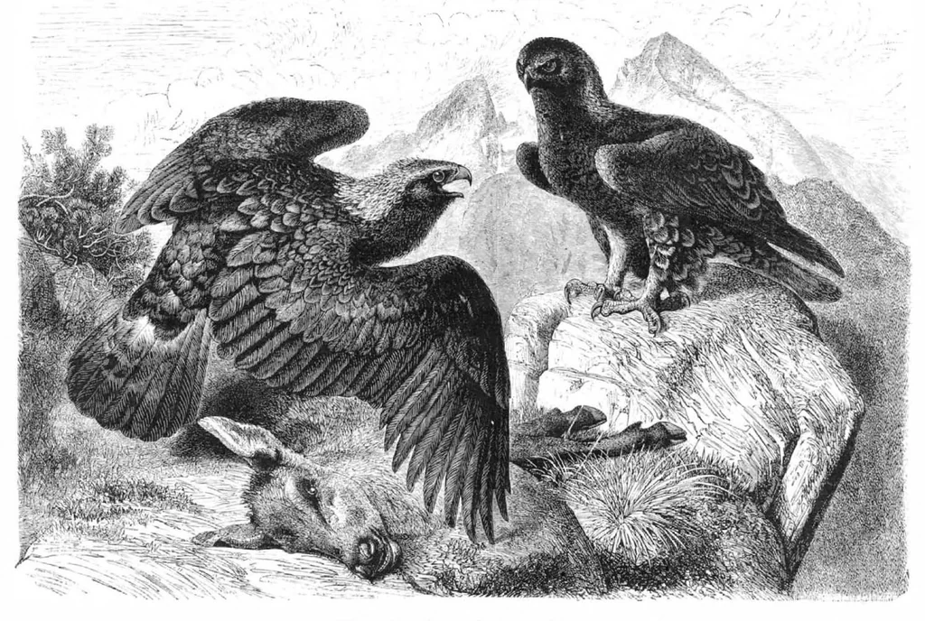 An illustration from Scientific American, Vol. 43, No. 21 (November 1880), 1880, leaf 8