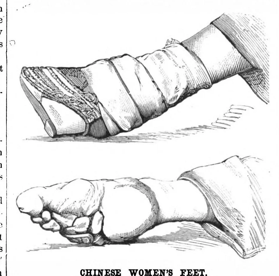 An illustration from Scientific American, Vol. 43, No. 25 (December 1880), 1880, leaf 10