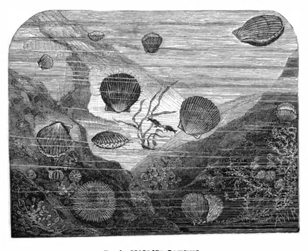 An illustration from Scientific American, Vol. 44, No. 1 (January 1881), 1881, leaf 9