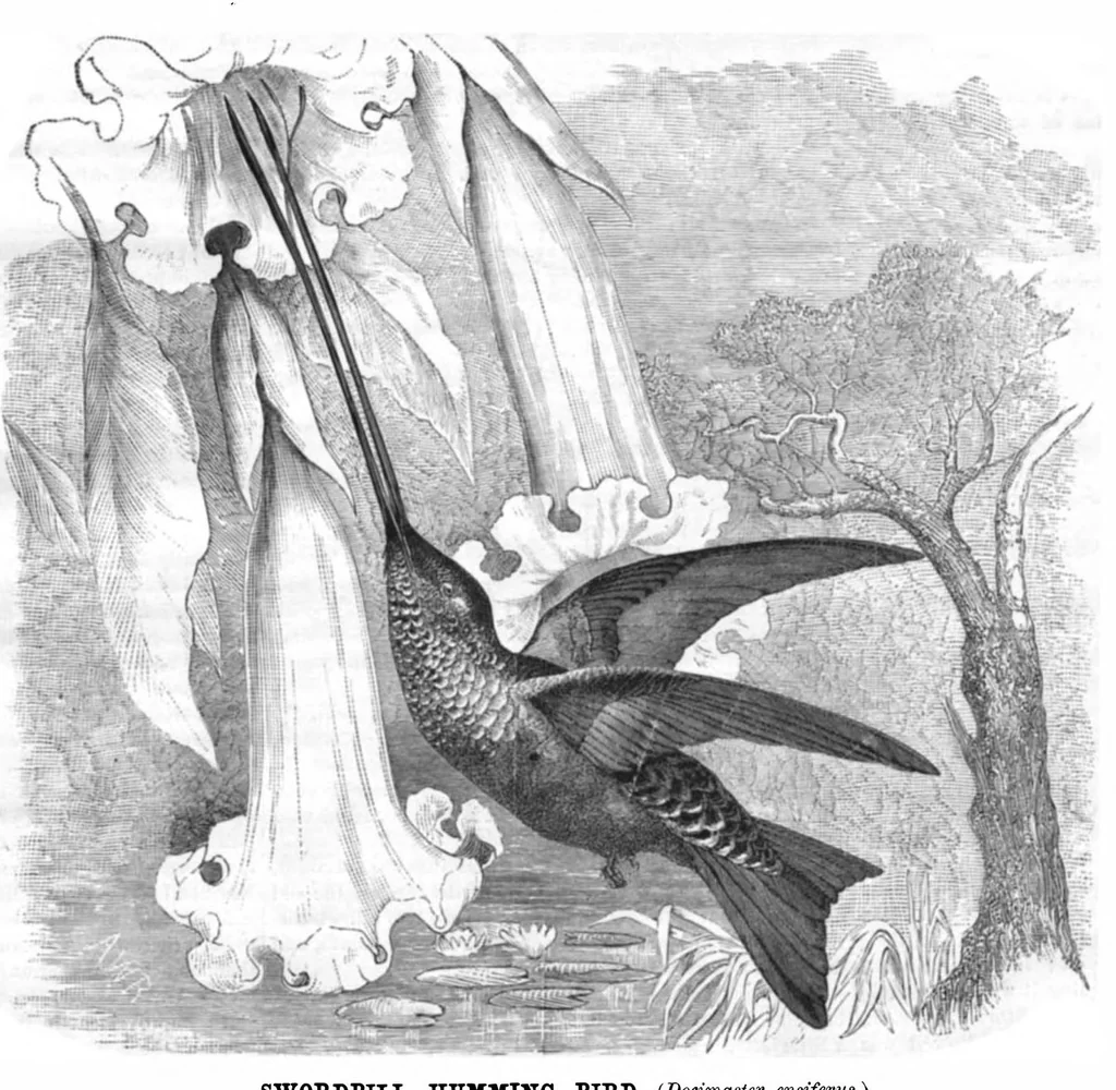 An illustration from Scientific American, Vol. 44, No. 2 (January 1881), 1881, leaf 8