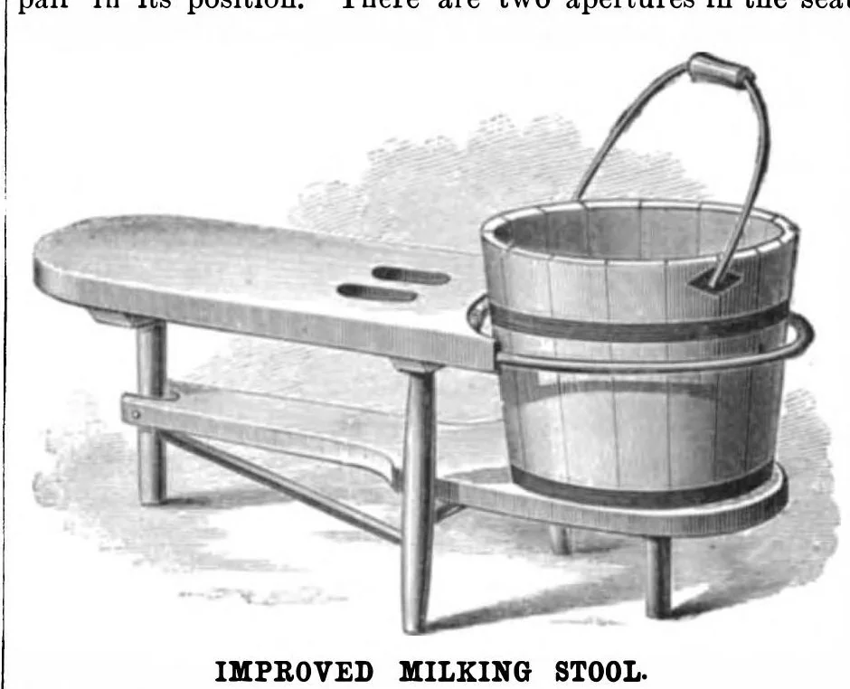 An illustration from Scientific American, Vol. 44, No. 5 (January 1881), 1881, leaf 4