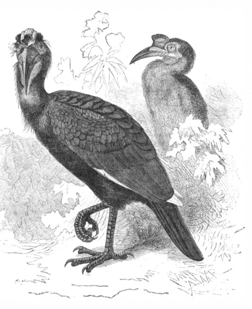 An illustration from Scientific American, Vol. 44, No. 5 (January 1881), 1881, leaf 8