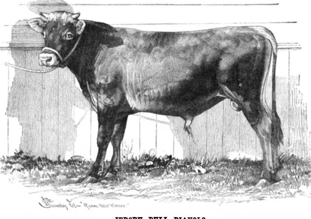 An illustration from Scientific American, Vol. 44, No. 6 (February 1881), 1881, leaf 8