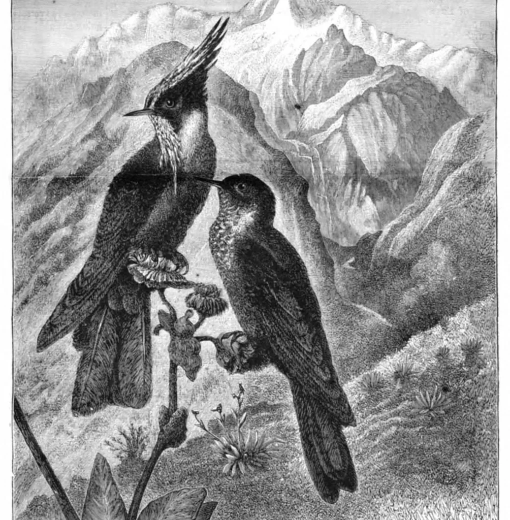 An illustration from Scientific American, Vol. 44, No. 7 (February 1881), 1881, leaf 8